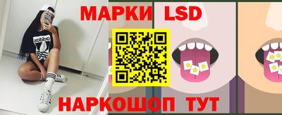 стафф Кингисепп