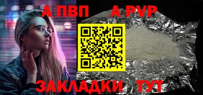 стафф Кингисепп