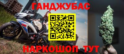 стафф Кингисепп