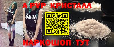 стафф Кингисепп