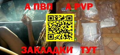 стафф Кингисепп