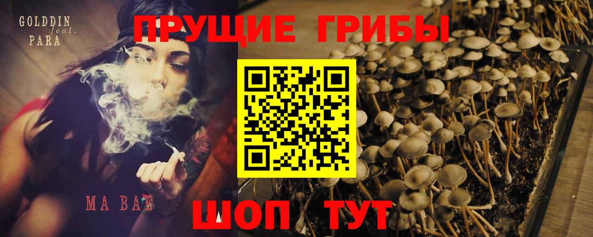 Галлюциногенные грибы GOLDEN TEACHER Краснодар