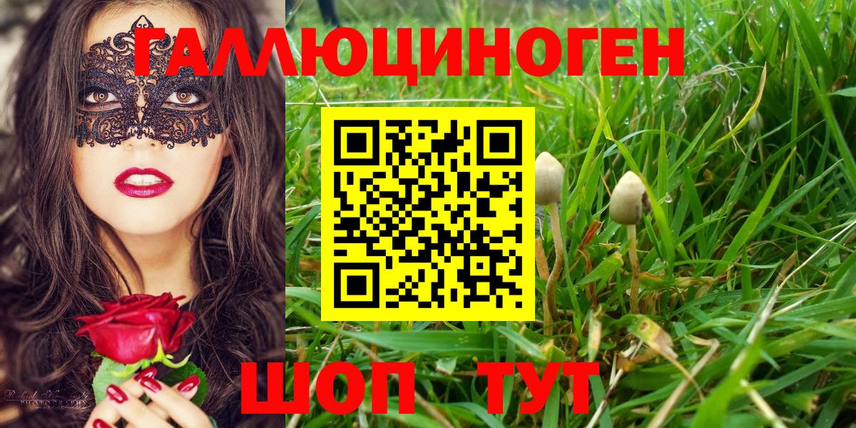 Псилоцибиновые грибы MAGIC MUSHROOMS  Галлюциногенные грибы GOLDEN TEACHER  Краснодар  Вход с VPN 