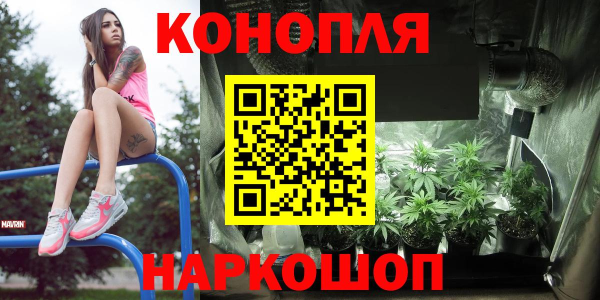 Канабис OG Kush Краснодар